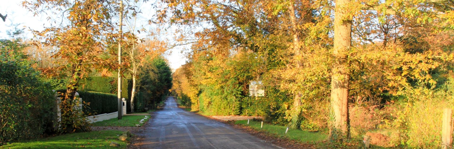 Durfold Wood Lane